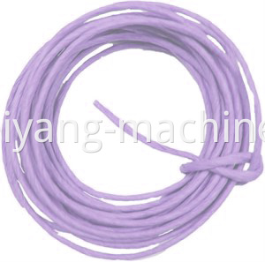 Purple Twisted Paper Cord